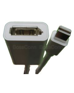 Mini Displayport to Displayport Female Cable